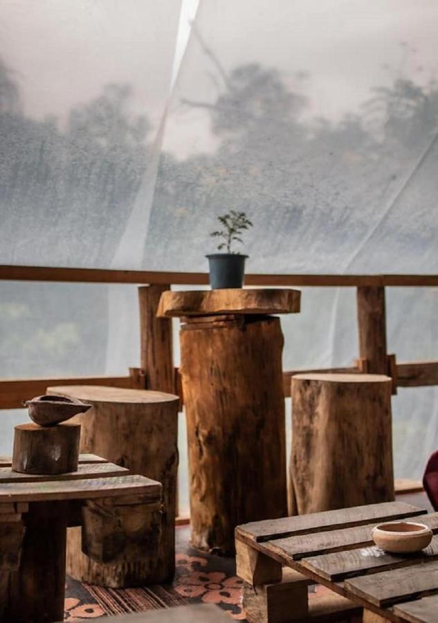 Хостел Tree House Cafe Элла Экстерьер фото